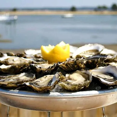 Daire Vaste Avec Vue Sur Le Port De Plaisance