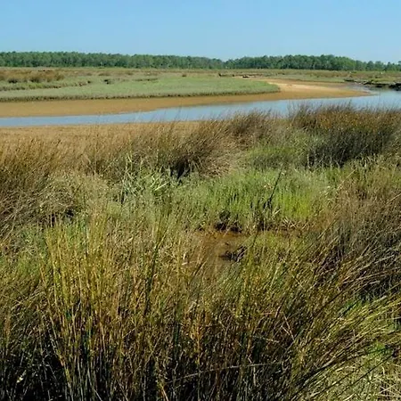 Διαμέρισμα Vaste Avec Vue Sur Le Port De Plaisance *