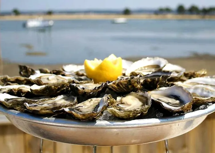 Apartmán Vaste Avec Vue Sur Le Port De Plaisance
