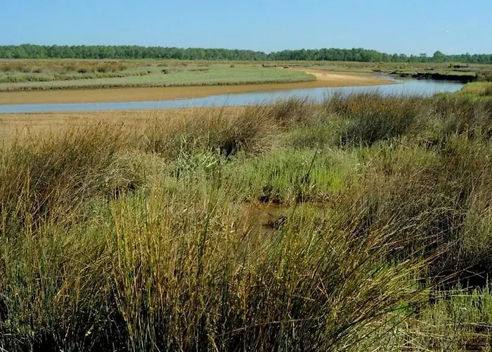Apartmán Vaste Avec Vue Sur Le Port De Plaisance *
